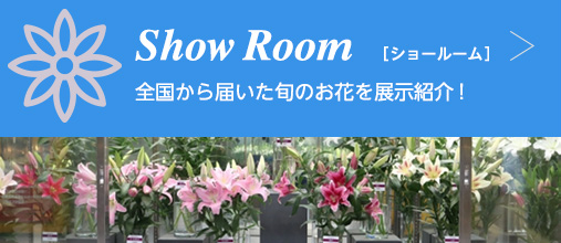 Show Room［ショールーム］全国から届いた旬のお花を展示紹介しています！