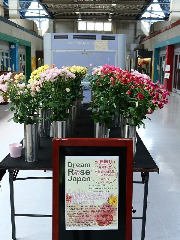Dream Rose Japan In Ota Part 株式会社大田花き