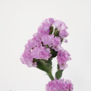 230501S228