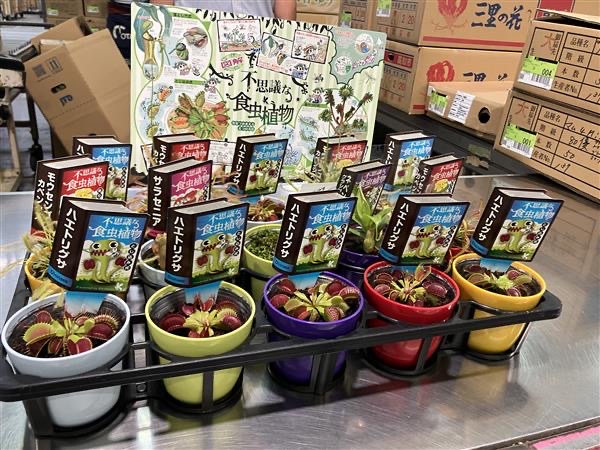 あページ 食虫植物5点セット 大彰園「食虫植物セット」 - 株式会社大田花き