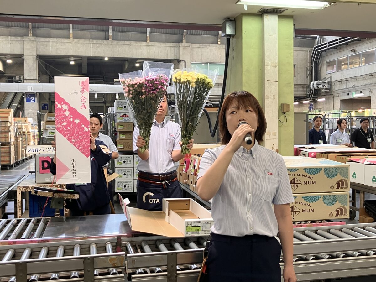 新規出荷】夢企画 カーネーション - 株式会社大田花き